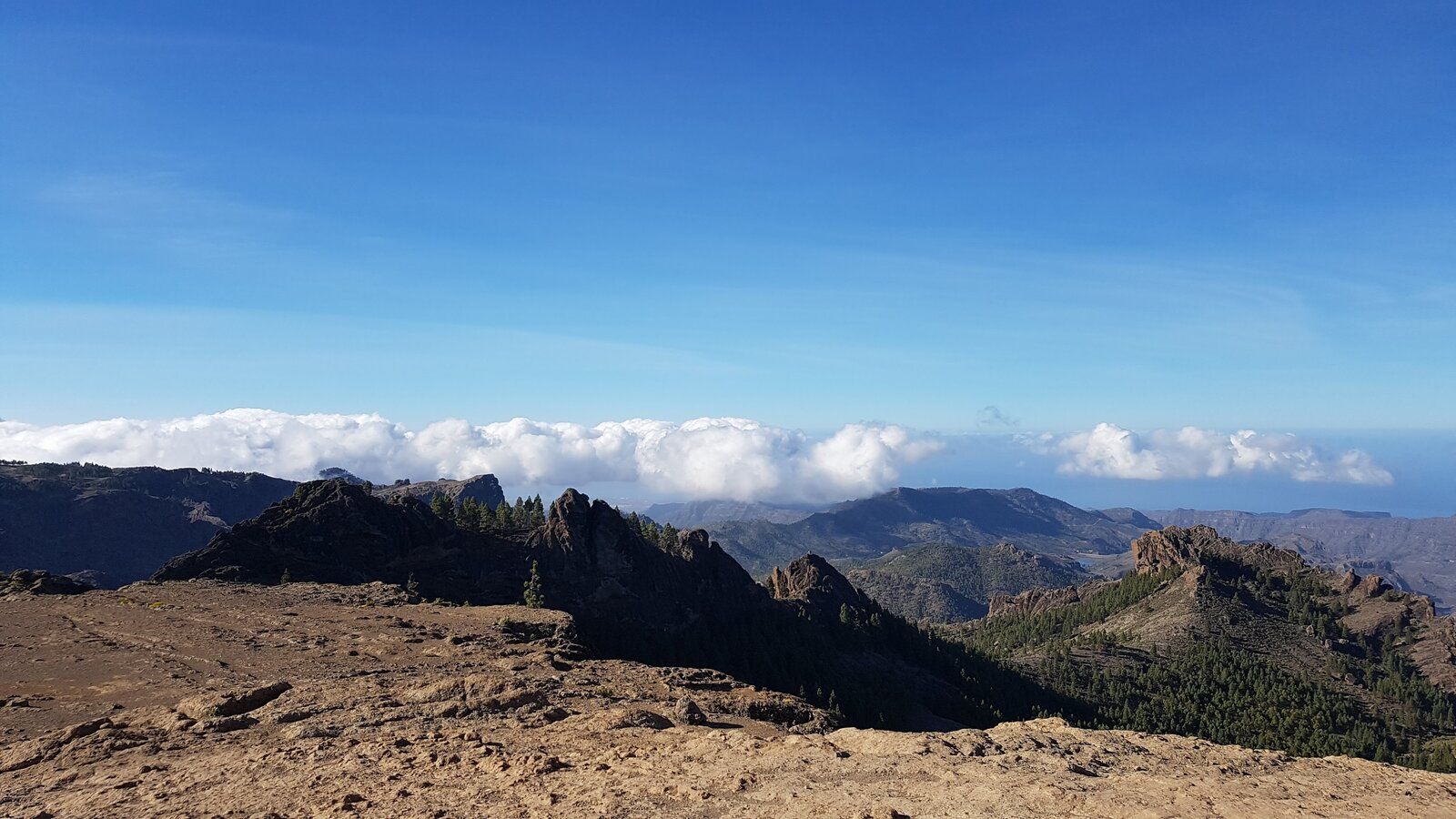 20190418_094144.jpg