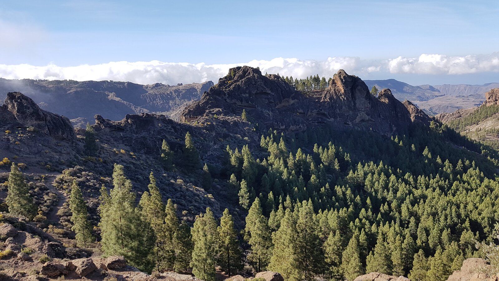 20190418_095605.jpg