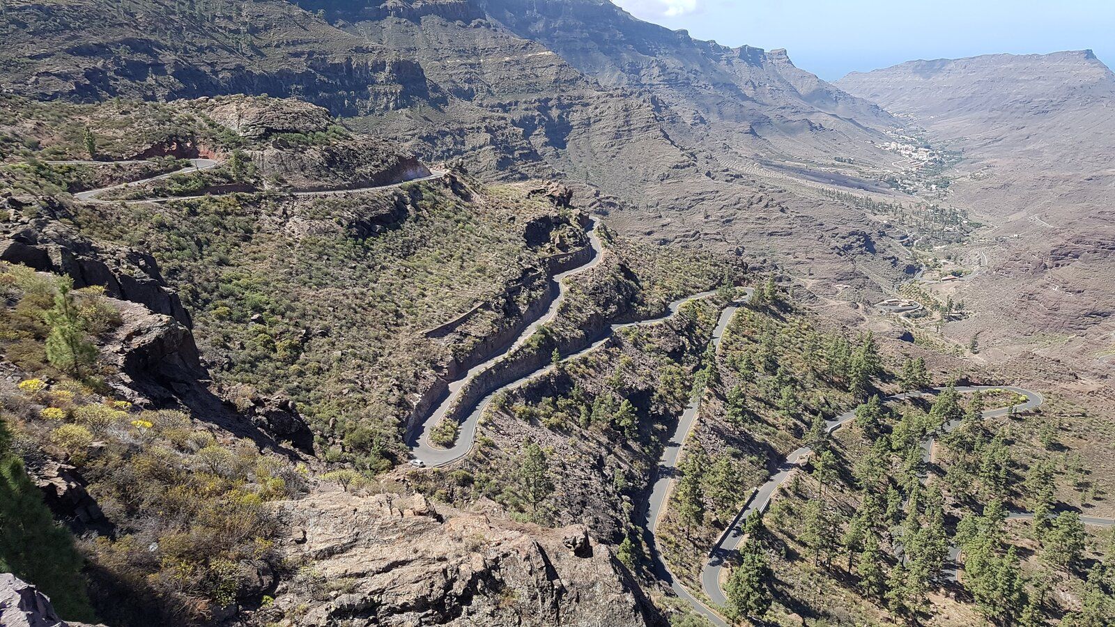 20190418_114251.jpg