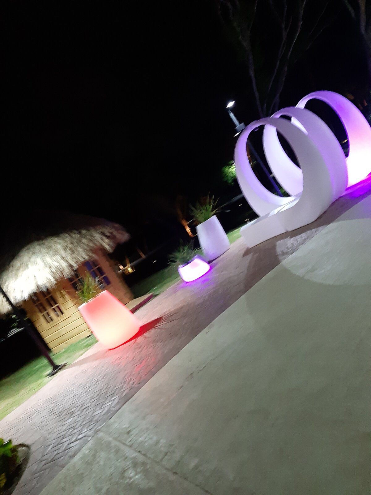 20190501_201356.jpg