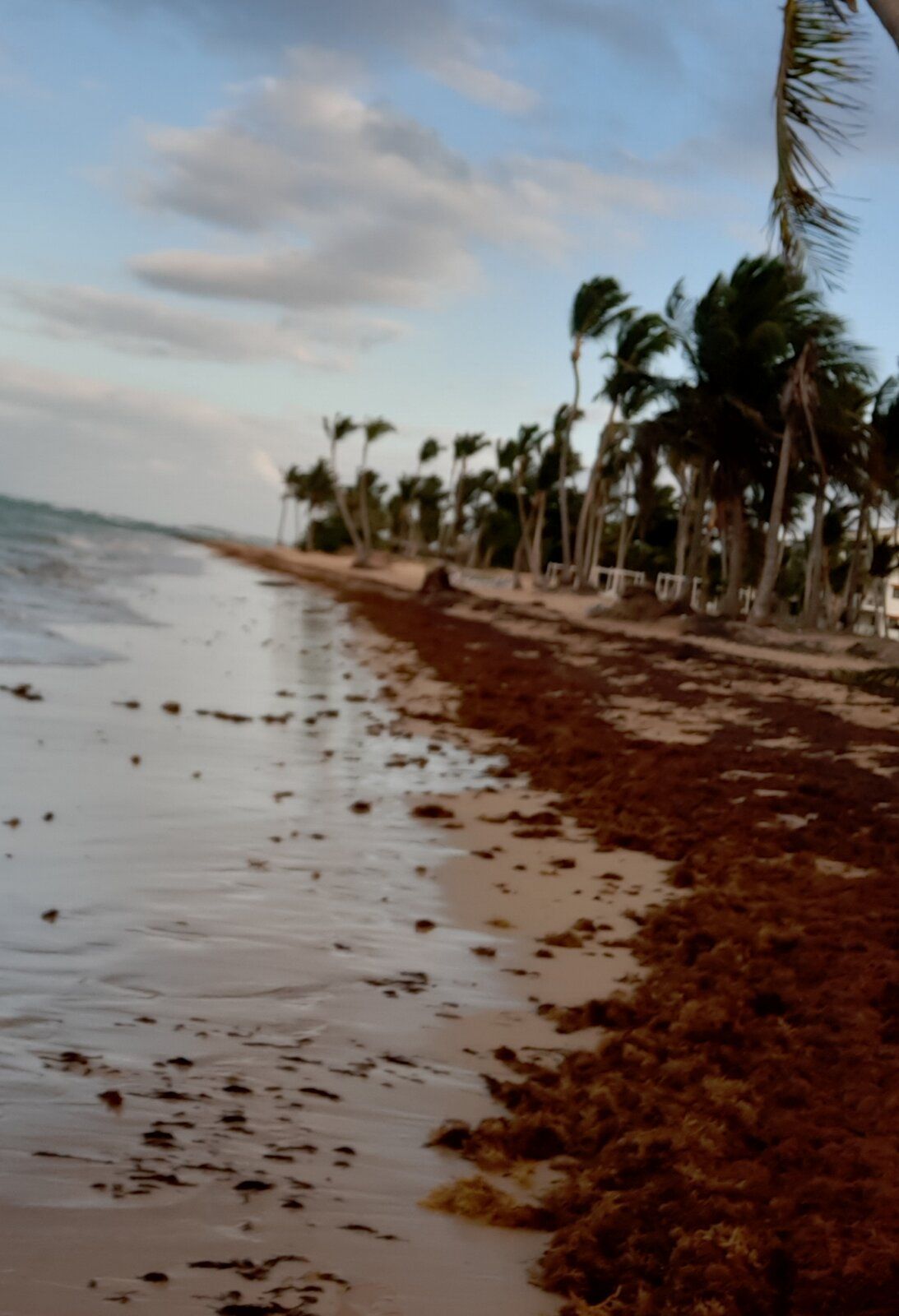 20190501_212014.jpg