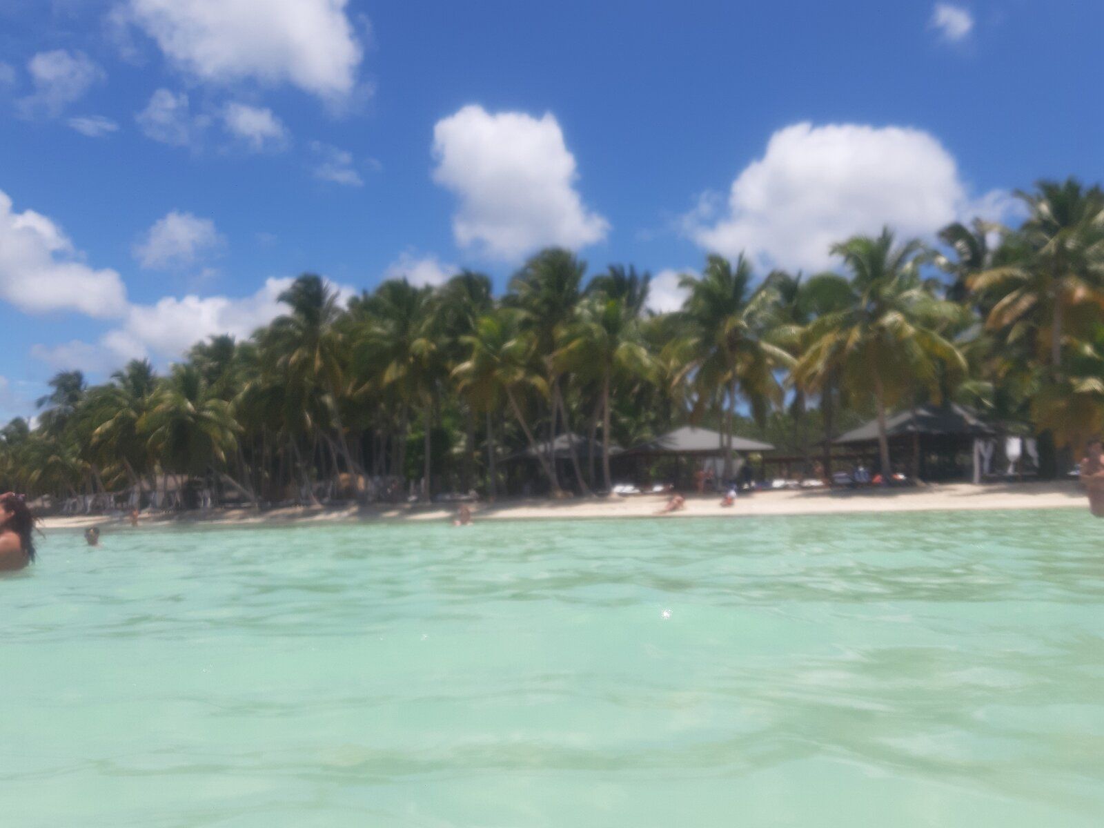 20190502_115155.jpg