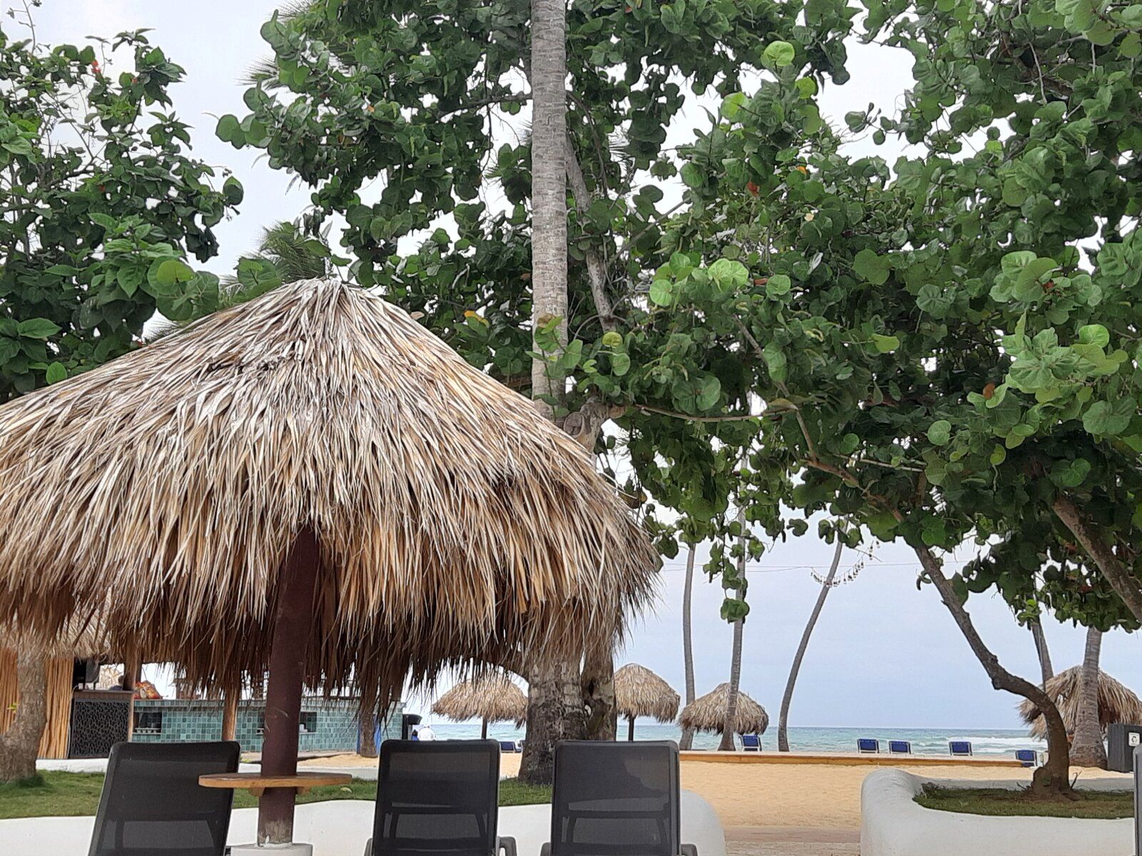 20190503_174040.jpg