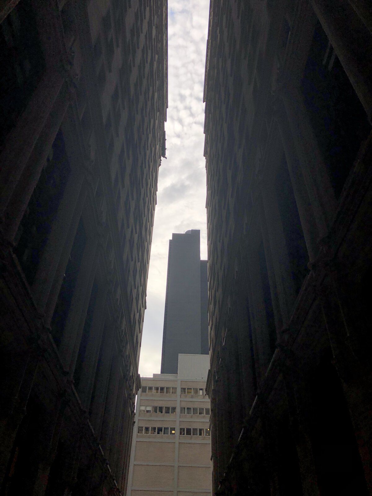 20190615_214835384_iOS.jpg