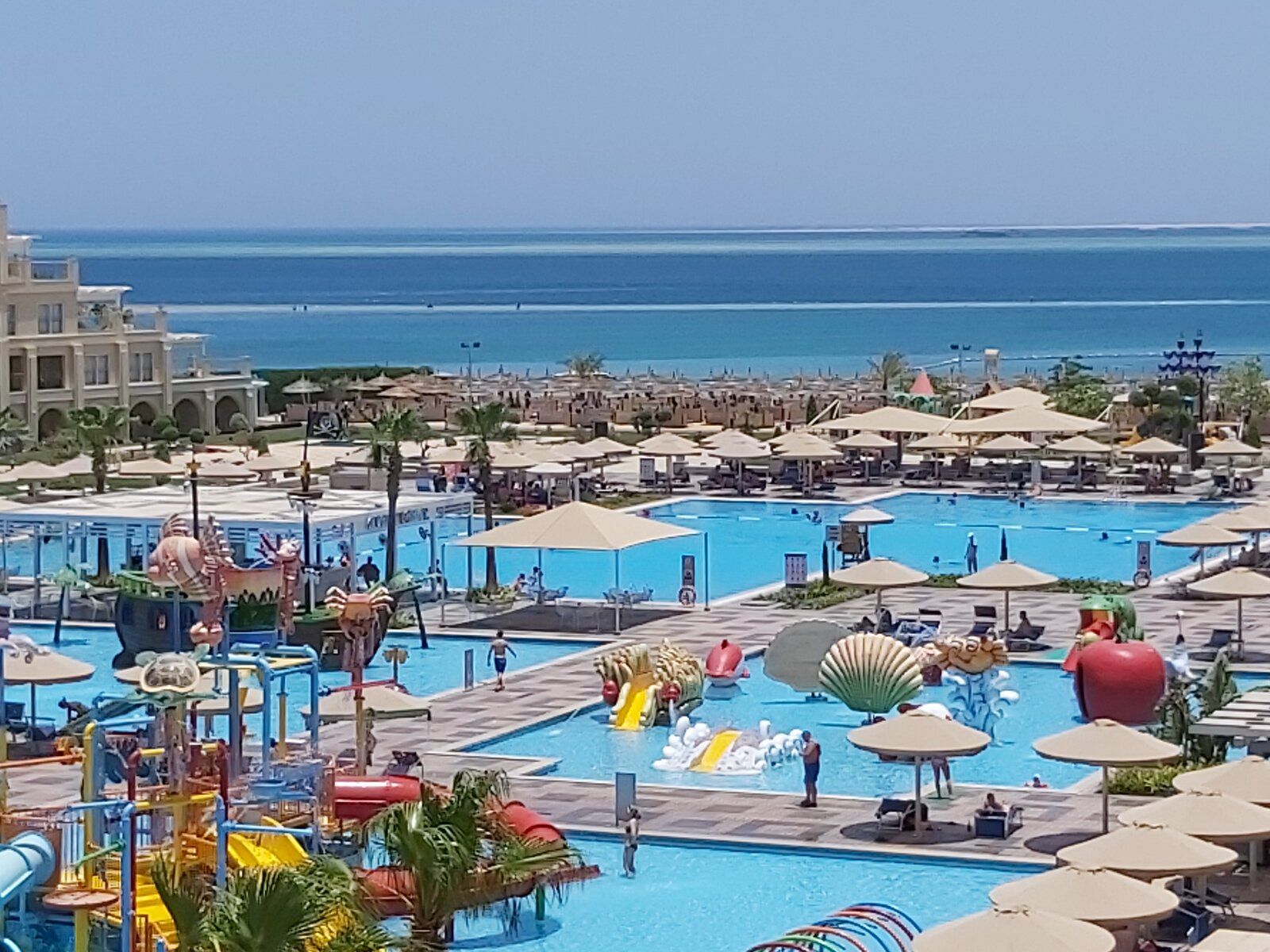 20190618_115636.jpg