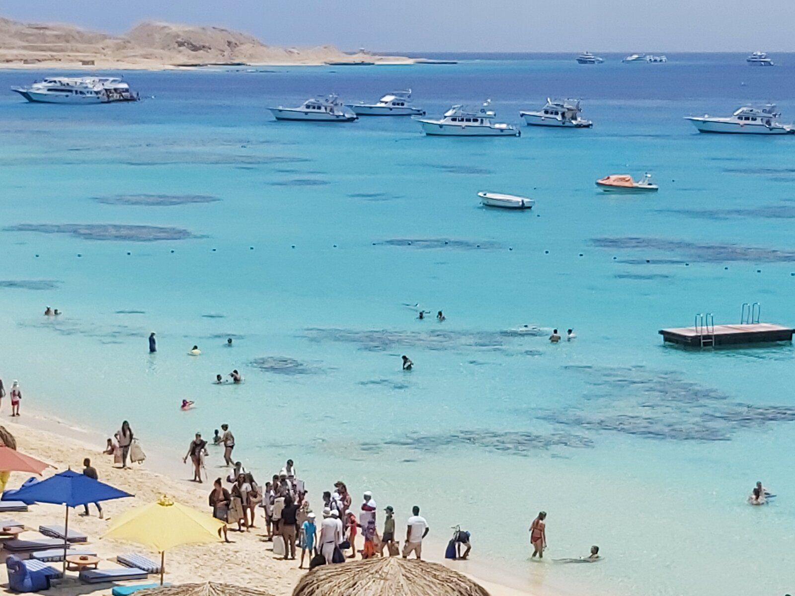 20190619_111516.jpg
