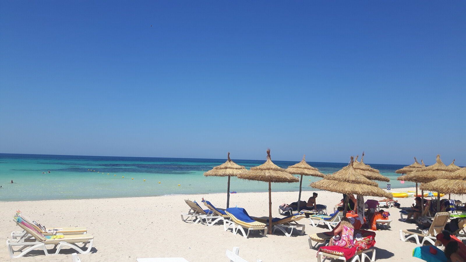 20190627_135712.jpg