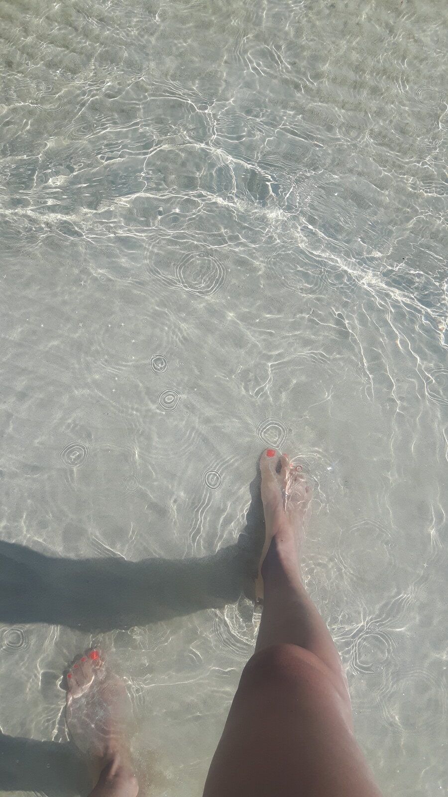 20190630_091617.jpg