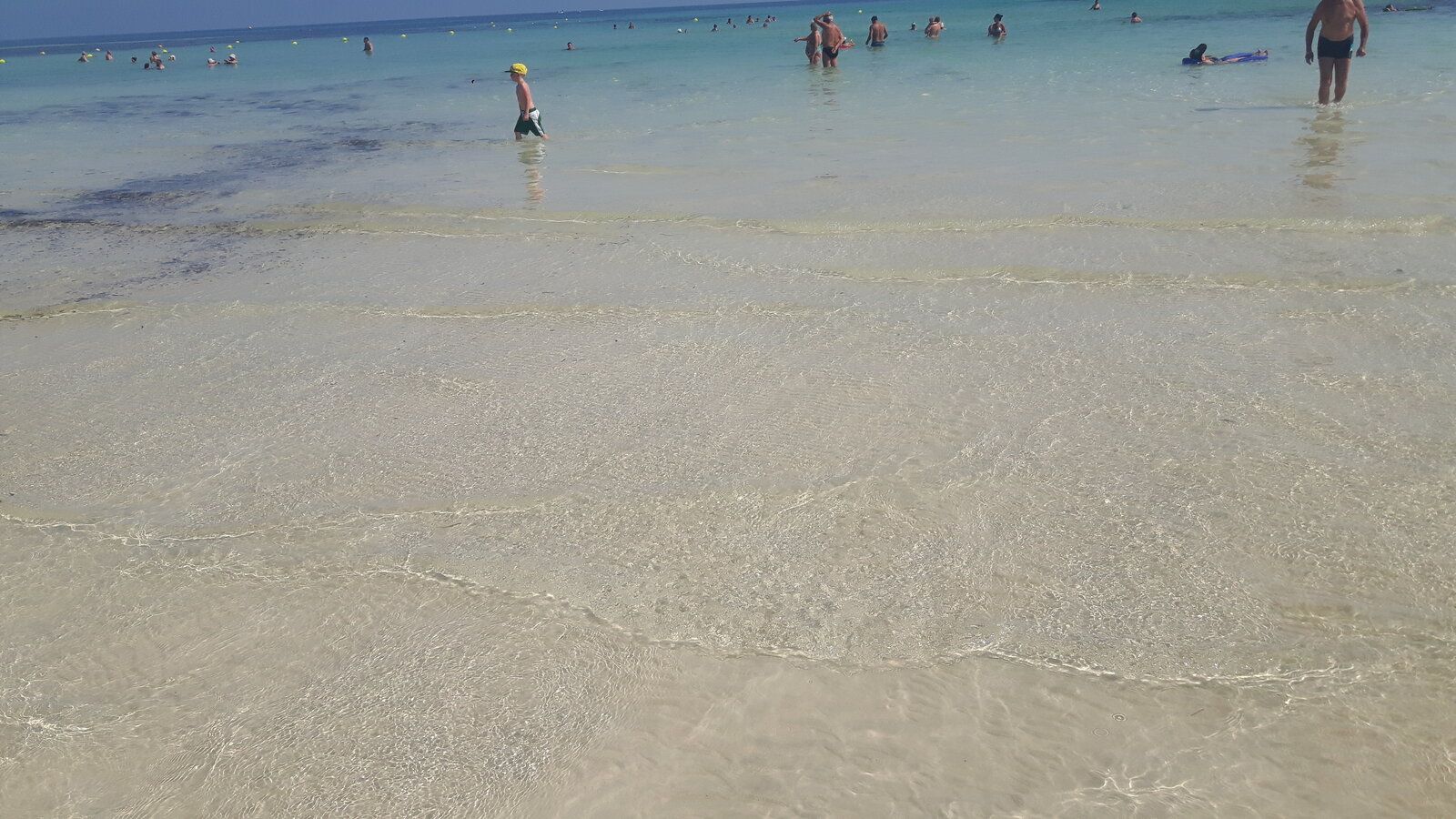 20190630_091703.jpg