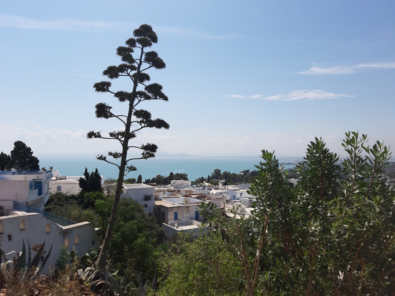 20190911_114259.jpg
