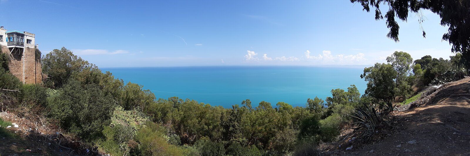 20190911_115219.jpg