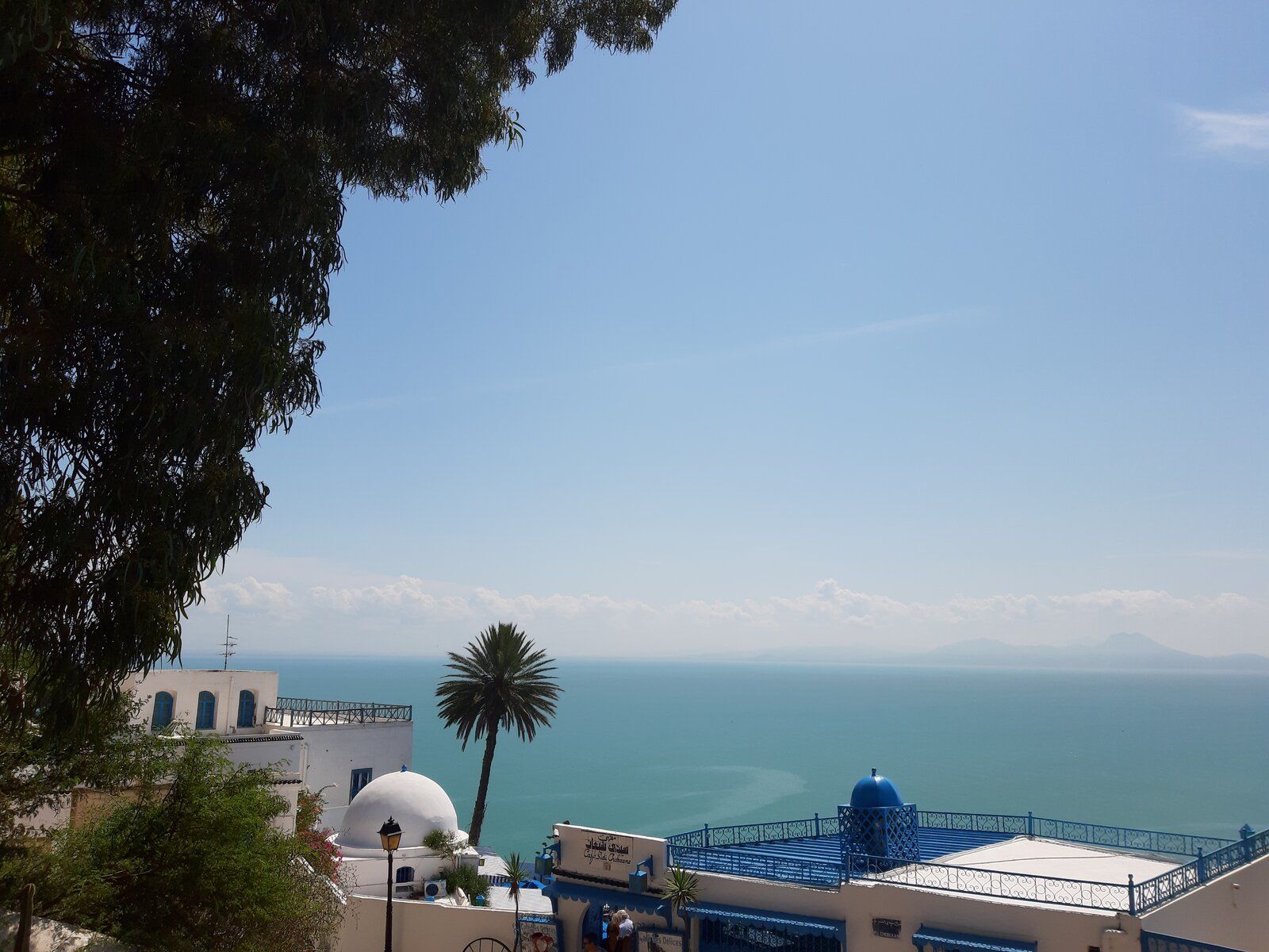 20190911_121832.jpg