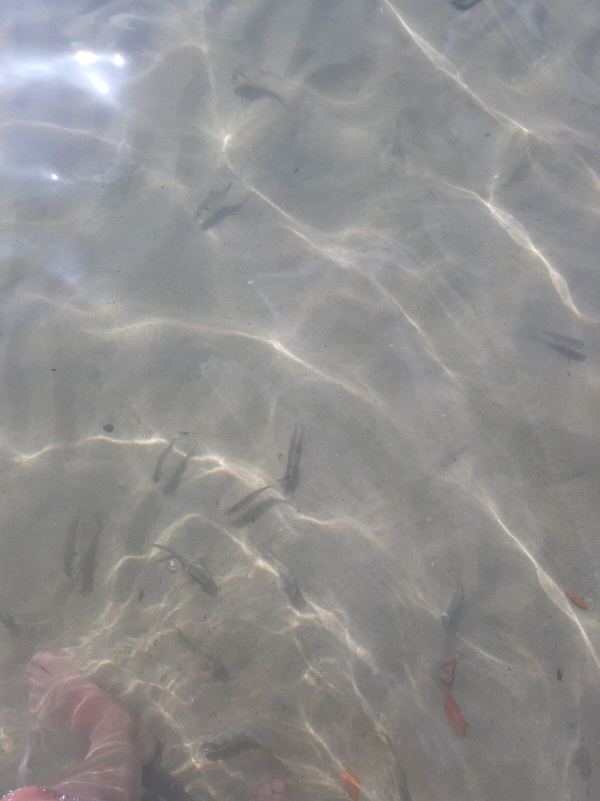 20190914_100606.jpg