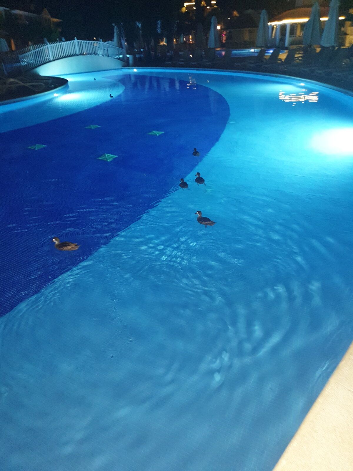 20190922_191655.jpg