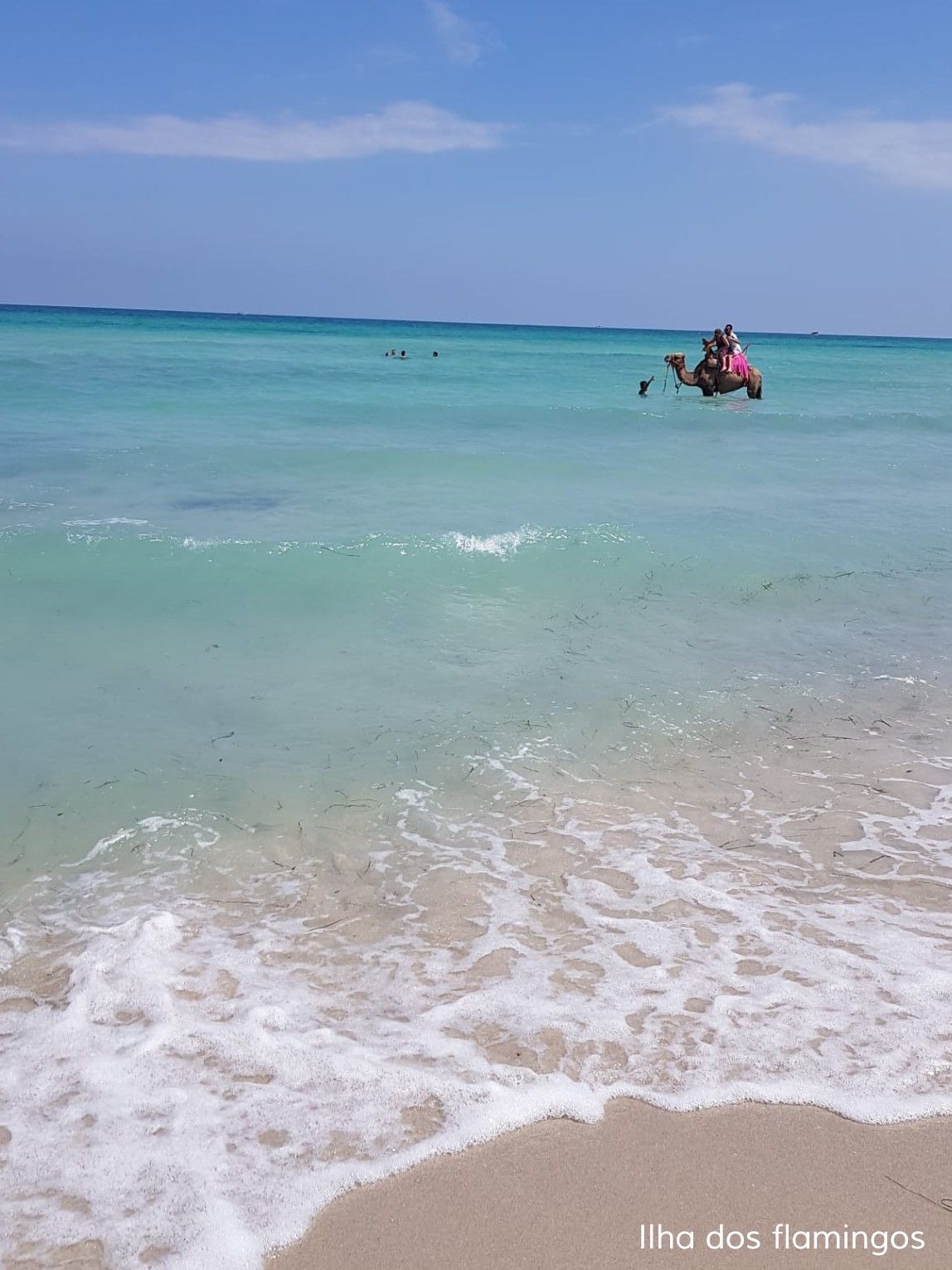 2019_08ago_Djerba (8).jpg