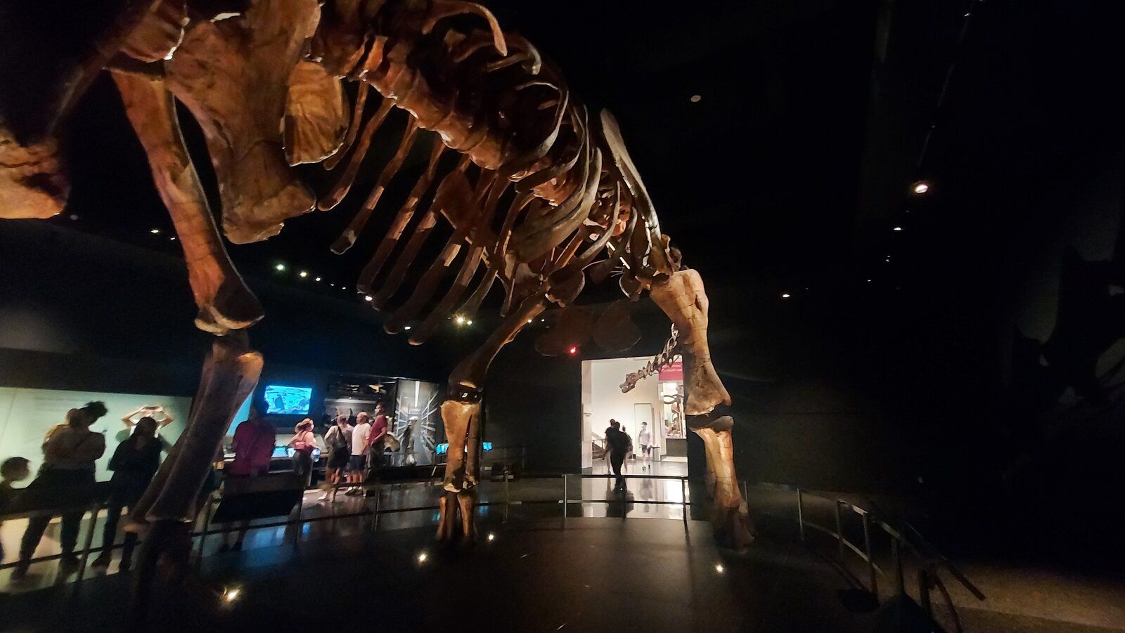 20220626_143150.jpg
