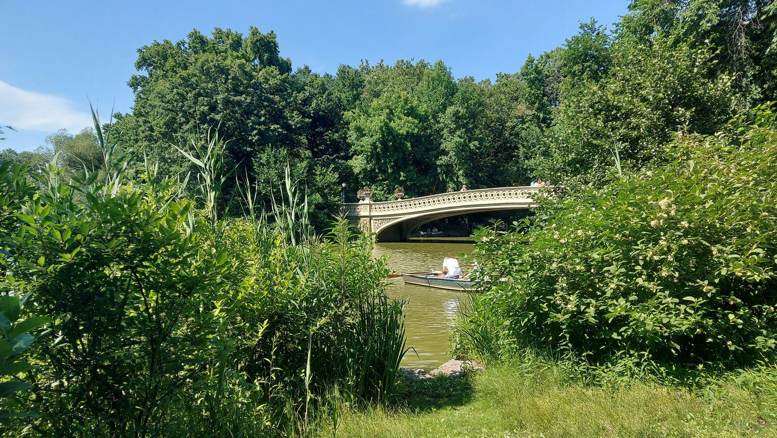 20220626_155545.jpg