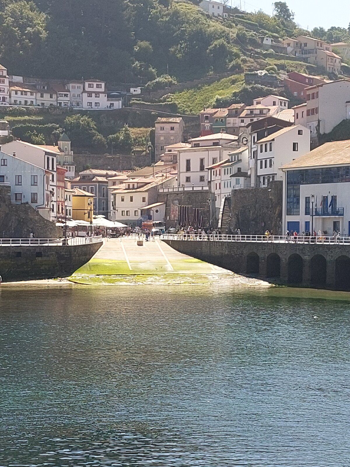 20220815_130530.jpg