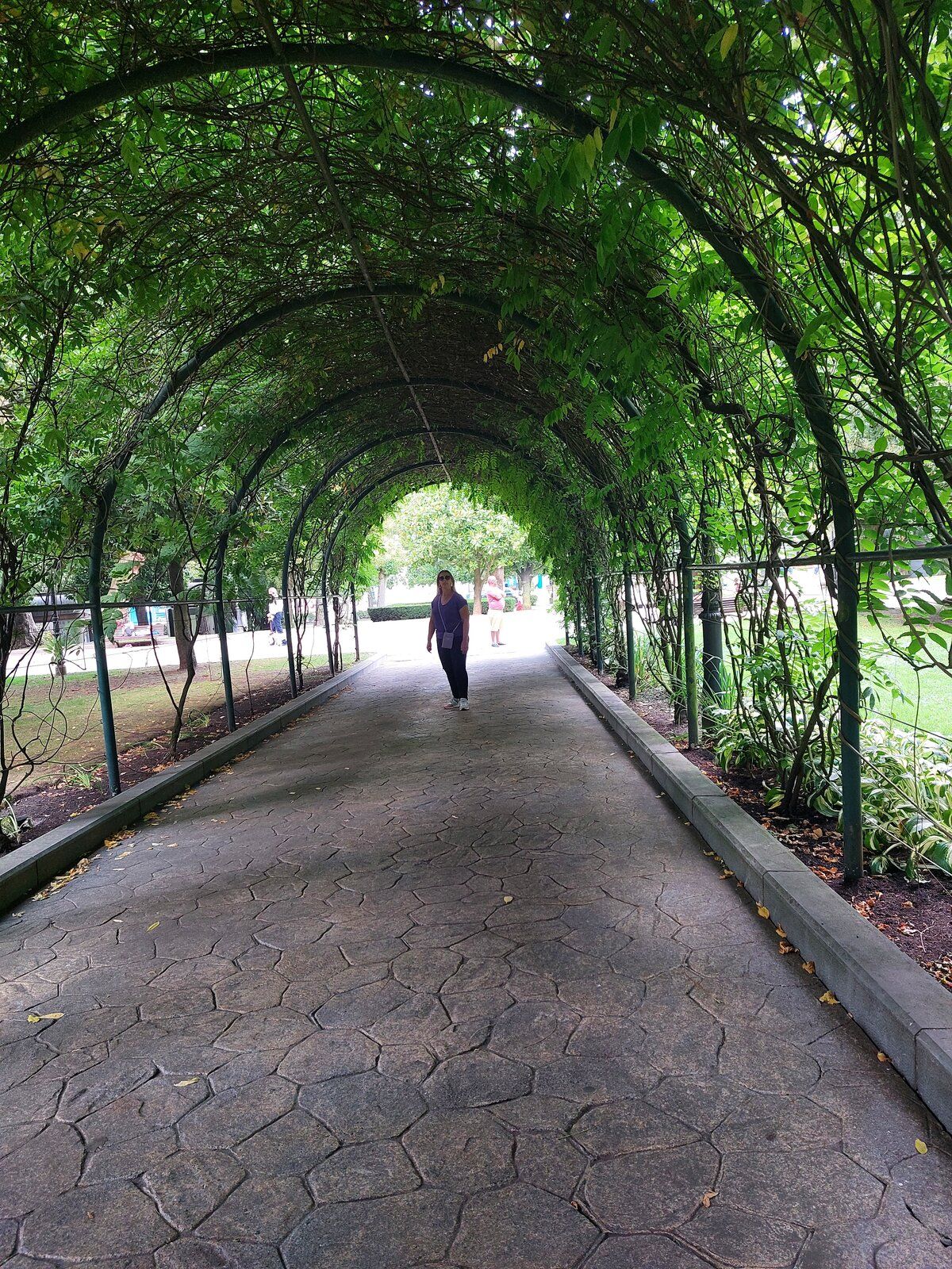 20220815_174438.jpg