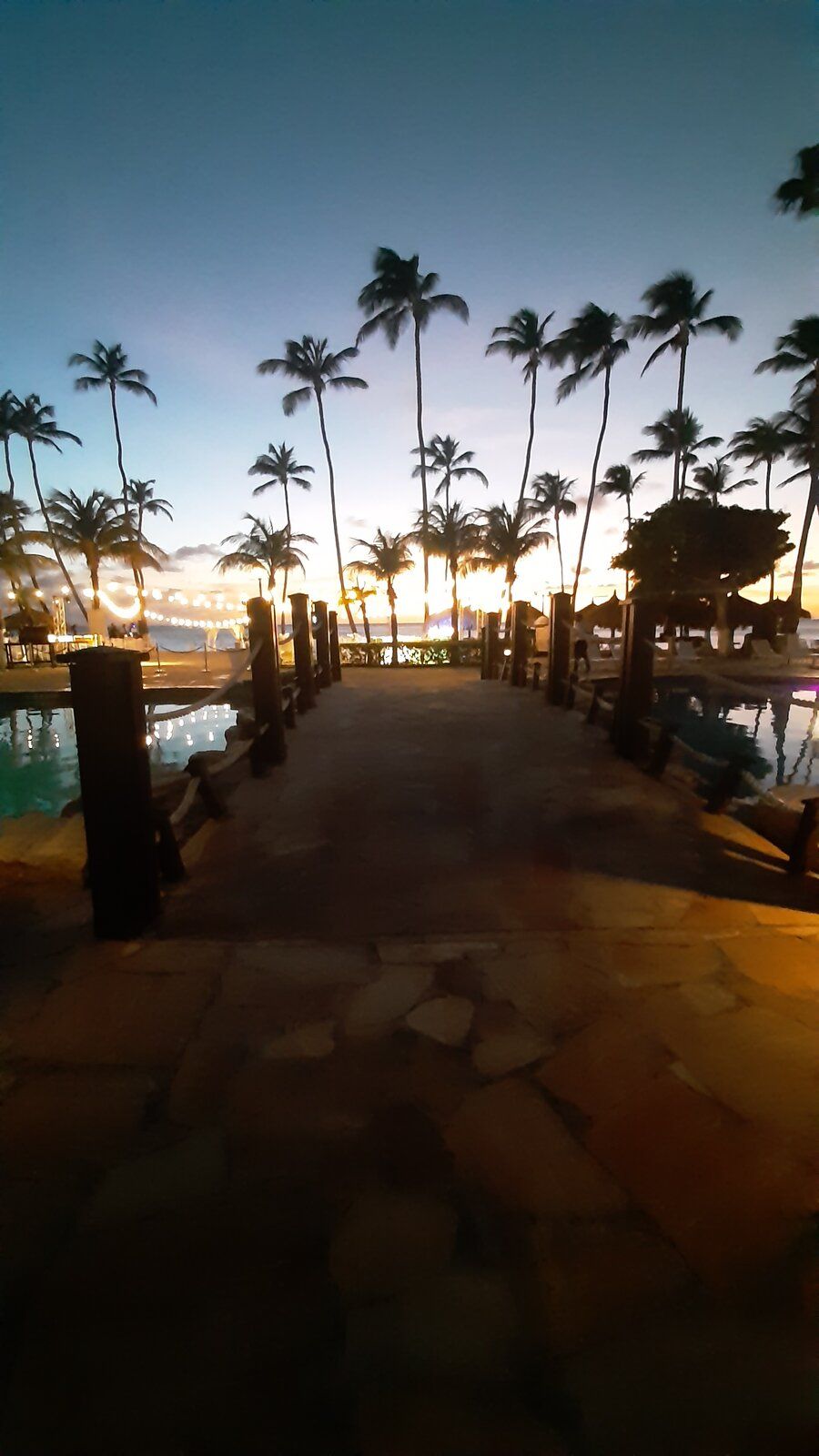 20220903_191258.jpg