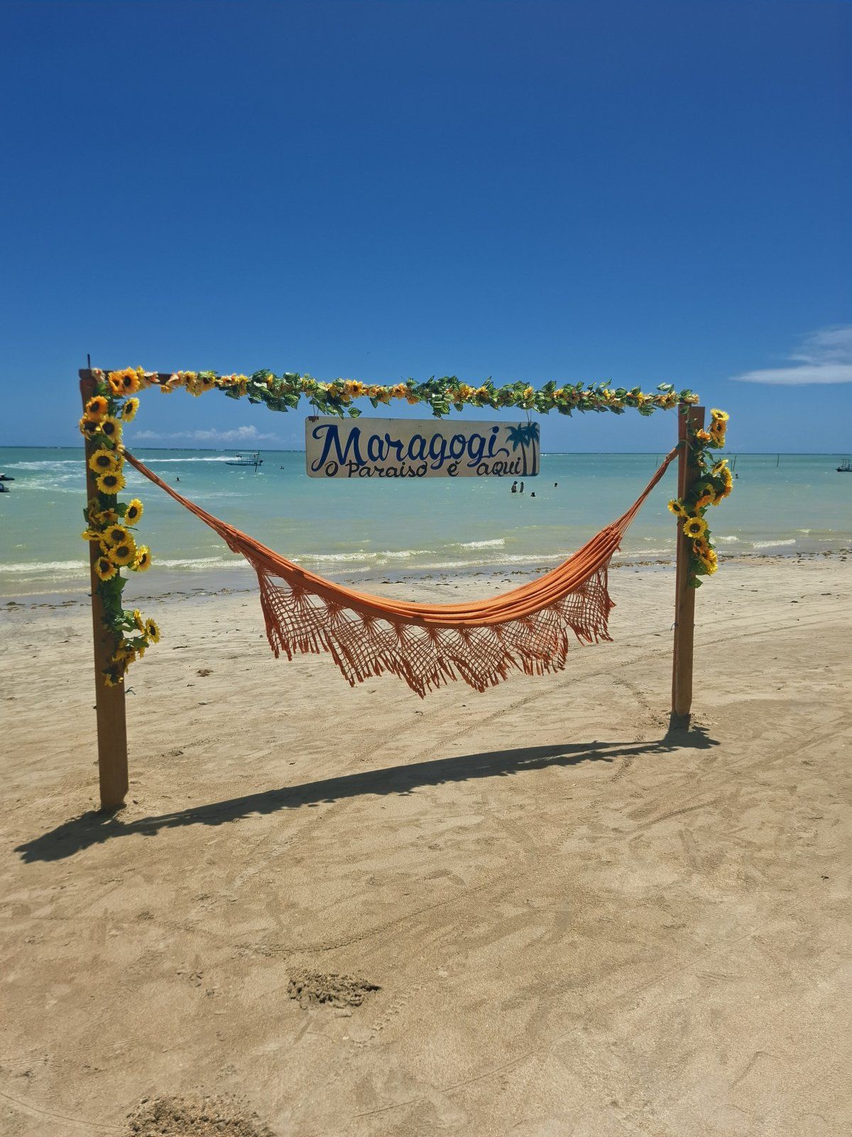 20251203_104847.jpg