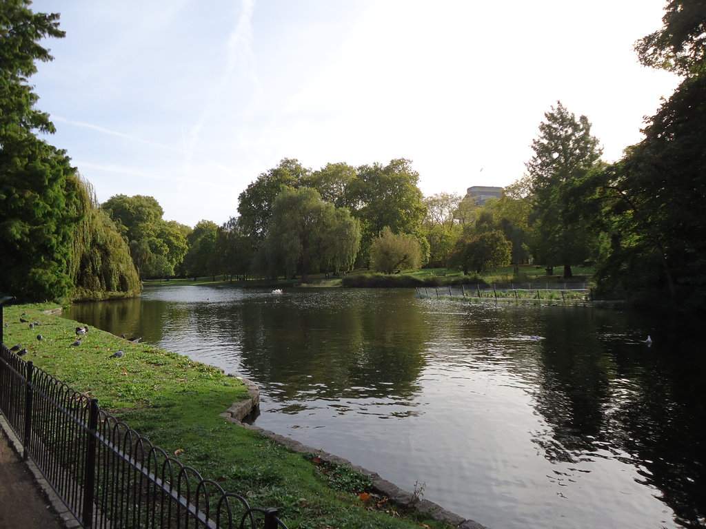 4th Day St James Park.JPG