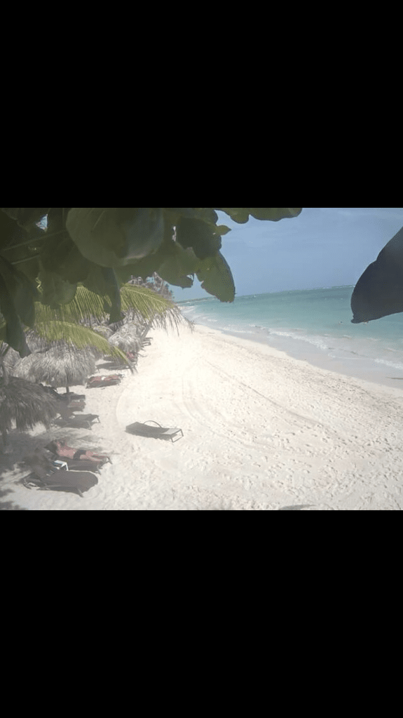 6B320C71-E325-4954-AADA-F50B0589C5FC.png