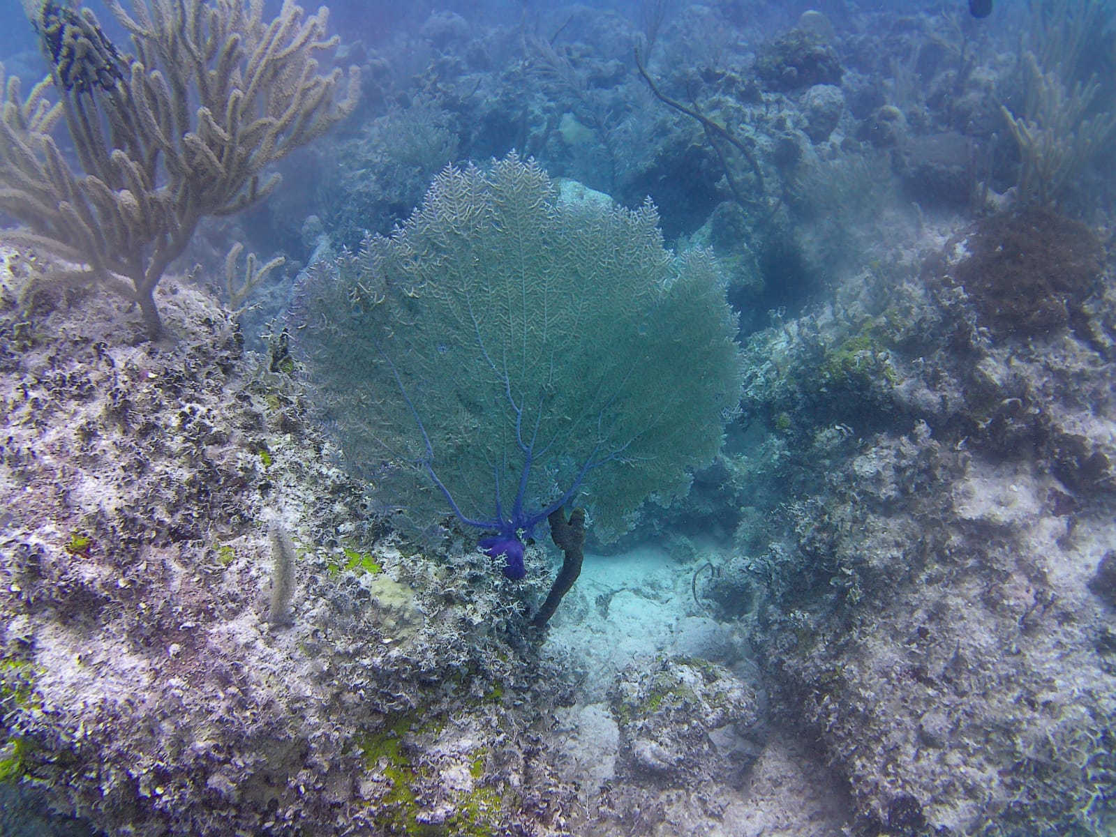75569054-7308-4f05-8e6c-73c084052301.jpg