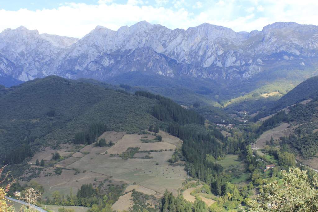_MG_2092.JPG