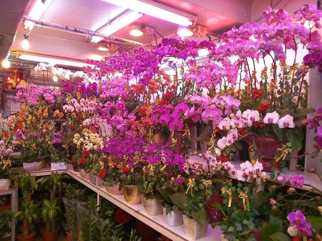a1.bp.blogspot.com__025tY9PcONM_U3nazMOeseI_AAAAAAAAD1o_v09ntBYQww0_s1600_DSC_0828.jpg