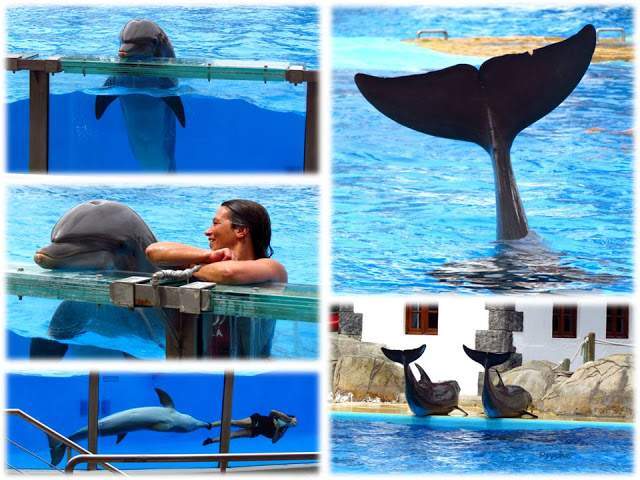 a1.bp.blogspot.com__tLVnRMl3_pI_T_xlM2dzNII_AAAAAAAAAO0_xh1ogekIygI_s640_Apresenta_C3_A7_C3_A3o1.jpg