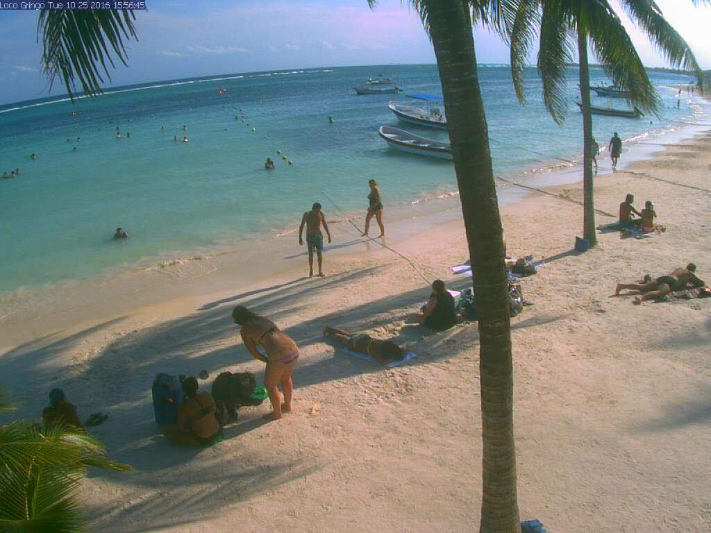 a107.170.253.177_akumal_netcam_0.jpg_02c040071d1a7080888330a326e28713.jpg