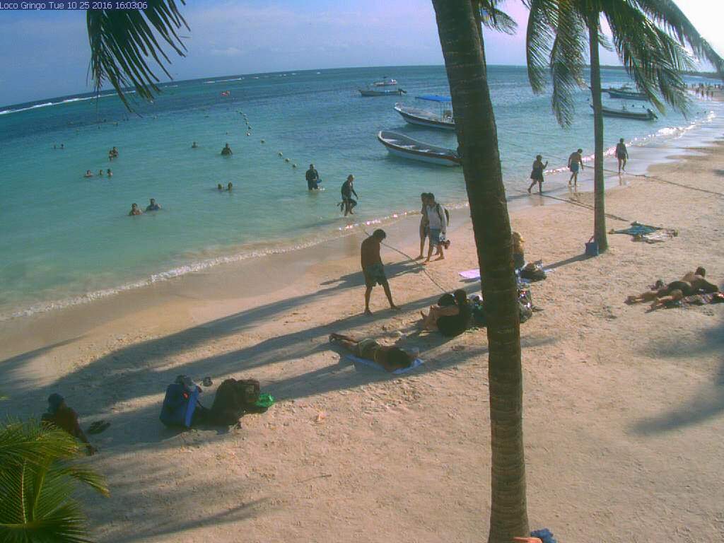 a107.170.253.177_akumal_netcam_0.jpg_6f11b6c19a1163ec9b88d5fcc3b474e1.jpg