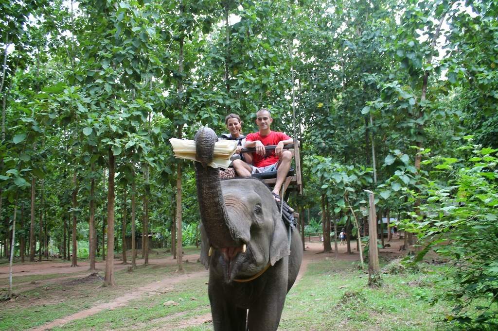 a2.bp.blogspot.com__7dSXO2XXKP0_VB1RQtkuF1I_AAAAAAAAAxg_RulJyHiuezA_s1600_elefante.jpg