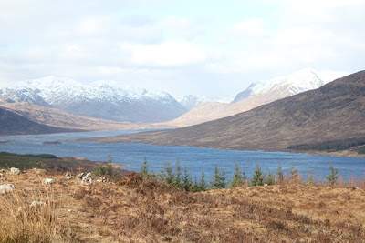 a2.bp.blogspot.com__9OmUMdnPZSg_UWaXAi8gRRI_AAAAAAAABjU_oCnDK8AafOo_s400_edimburgo__21_.JPG