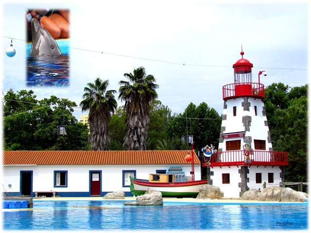 a2.bp.blogspot.com___OqI_V1Tob0_T_xy_4wwaSI_AAAAAAAAAP0_1T912mMMde4_s640_Apresenta_C3_A7_C3_A3o1.jpg