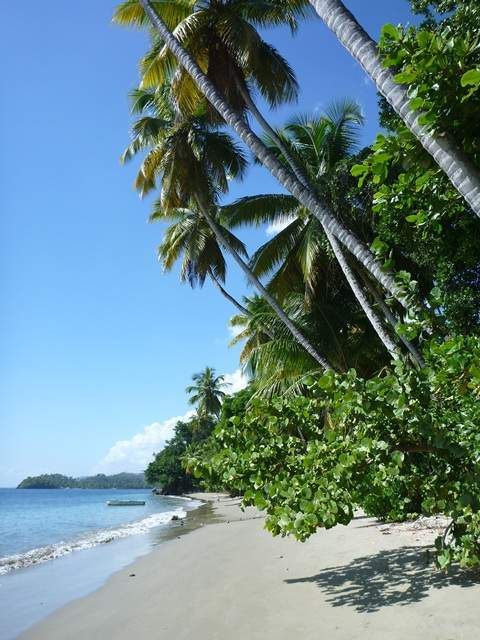a2.bp.blogspot.com__BV6Z0anpBRM_UVSjcU96BGI_AAAAAAAABXc_4jS8Vv608299b9c4a32b9c9069d0f2ecbb2687.jpg