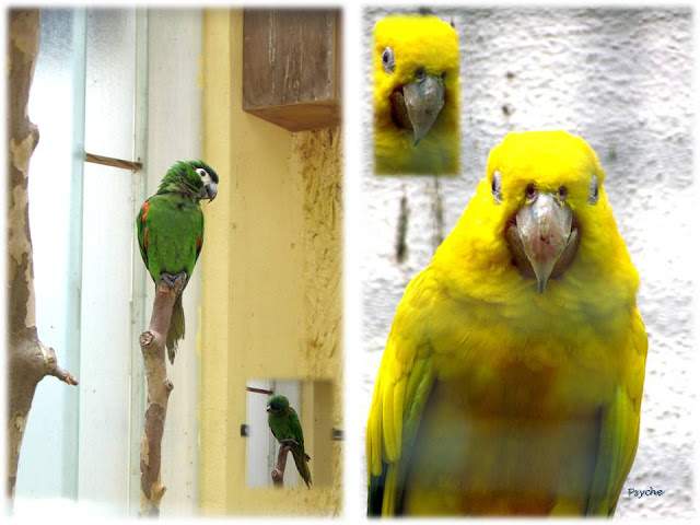 a2.bp.blogspot.com__kFEiAJPR9YQ_T_wkW0ndW4I_AAAAAAAAAJA_96__ZX73fgs_s640_Apresenta_C3_A7_C3_A3o1.jpg