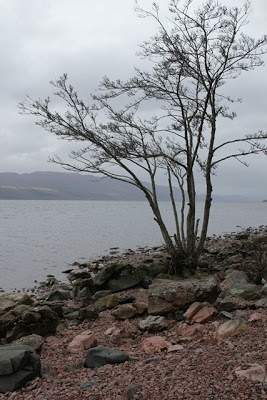 a2.bp.blogspot.com__qNuDDGEsN8Q_UWaWKJqoHiI_AAAAAAAABh8_h5gtbSolw2c_s400_edimburgo__8_.JPG