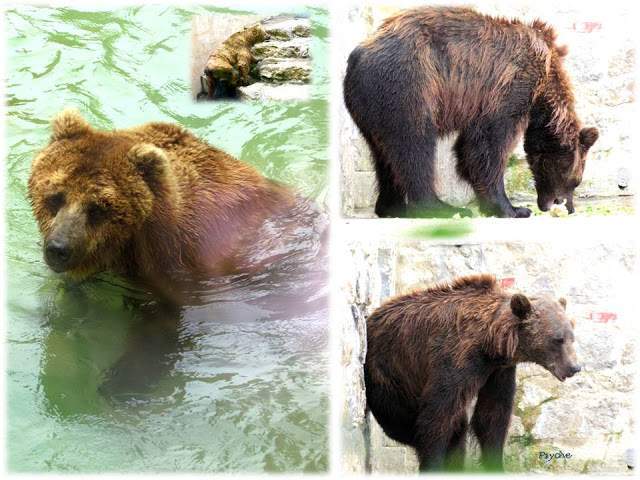 a2.bp.blogspot.com__qxfTUDnoKJU_T_w4UUPqhGI_AAAAAAAAALE_q1v8taWx06E_s640_Apresenta_C3_A7_C3_A3o1.jpg
