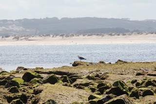 a2.bp.blogspot.com__ud2WxviFXUQ_UOxgkGwr8gI_AAAAAAAAA_g_1iI71GxY9Hc_s320_peniche_2B_25281_2529.JPG