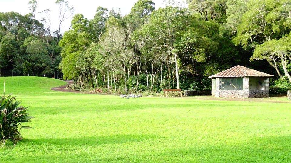a2.fotos.web.sapo.io_i_G6406c3fd_18738280_DHZPd.jpeg