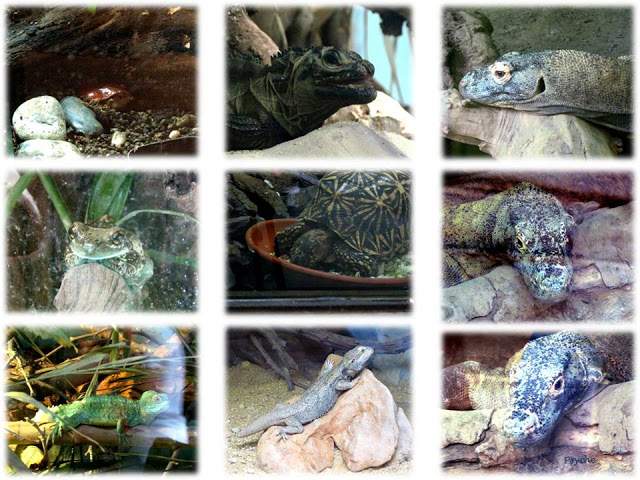 a3.bp.blogspot.com__7yGgjEUmI7E_T_tAjDqQerI_AAAAAAAAAIM_qHAaDO_MZuM_s640_LIIIIIIII.jpg