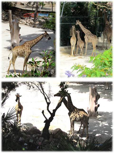 a3.bp.blogspot.com__bTu4rzF1Oeg_T_ssBYh7LbI_AAAAAAAAAGQ_Xm2IO8rb8T0_s640_LIIIIIIII.jpg
