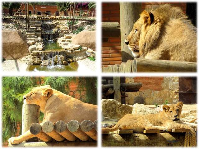 a3.bp.blogspot.com__clM2GQQKonU_T_xDBZ9DyGI_AAAAAAAAAMI_lIvl6U57Woo_s640_Apresenta_C3_A7_C3_A3o1.jpg