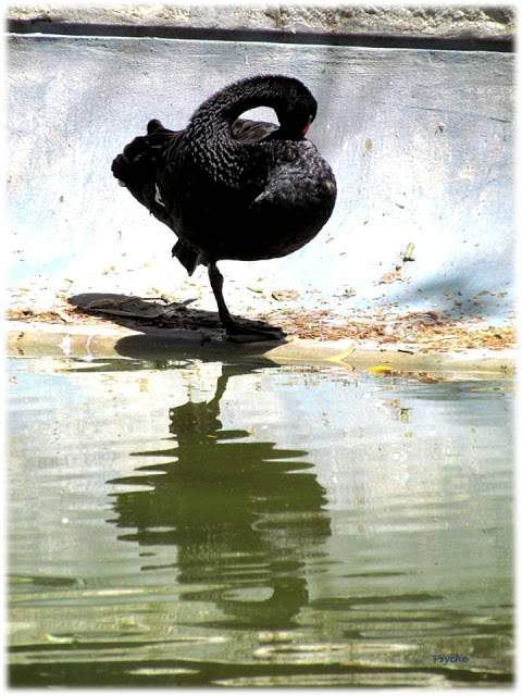 a3.bp.blogspot.com__Hqf3qGyLIsY_T_wsC7cmL2I_AAAAAAAAAJ0_fDlDWuhfFNg_s640_Apresenta_C3_A7_C3_A3o1.jpg