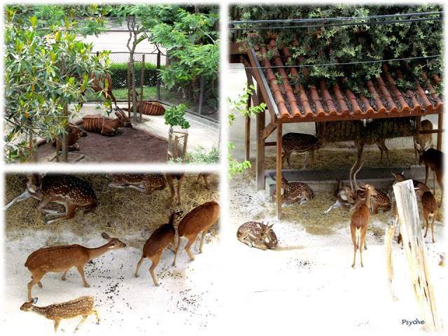a3.bp.blogspot.com__jtZ24y1OwtY_T_slRg_DLGI_AAAAAAAAAFg_l7RD3fDVH2M_s640_LIIIIIIII.jpg