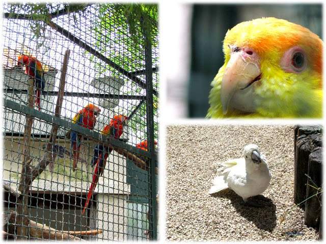 a3.bp.blogspot.com__nObOcZ3M3h0_T_wnDwLvTJI_AAAAAAAAAJQ_gDa9phtVZoc_s640_Apresenta_C3_A7_C3_A3o1.jpg