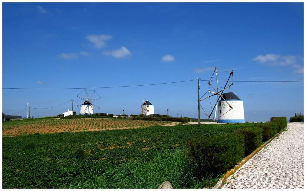 a3.bp.blogspot.com__r2TyBvBMINM_VynPdJUfWOI_AAAAAAAAJIY_Ew8_lbad8b0e307977bce8b804ba90c7f88bc8.jpg