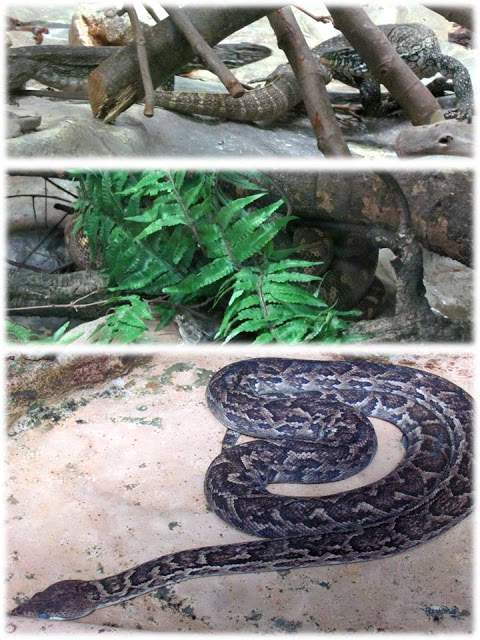 a4.bp.blogspot.com__HPO6BYhjIB8_T_tE_W4BsRI_AAAAAAAAAIg_aWX4U_tJ5jA_s640_LIIIIIIII.jpg